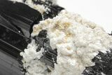 Large, Terminated Black Tourmaline (Schorl) Crystal - Pakistan #207205-3